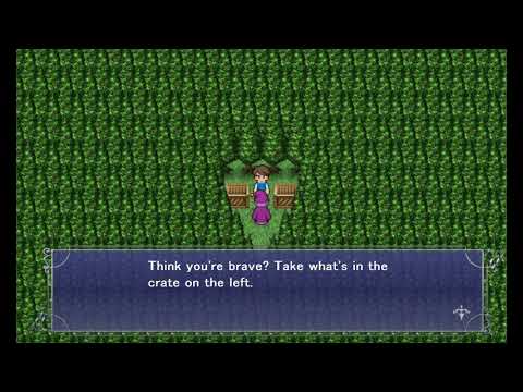 Final fantasy 5 : (pc) : part 80 : Are you brave or a chicken