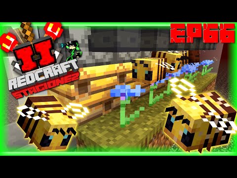 Farm di MIELE Sempre ATTIVA e TANTI ALVEARI Finalmente! 🍯 RedCraft S2 Ep.66