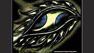 String Quartet Tribute To Tool - Intermission