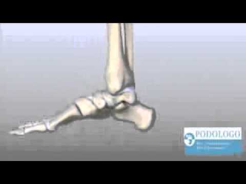 Dolore quando si piega in avanti negli uomini Gli attacchi di panico e IRR forum osteocondrosi cervicale