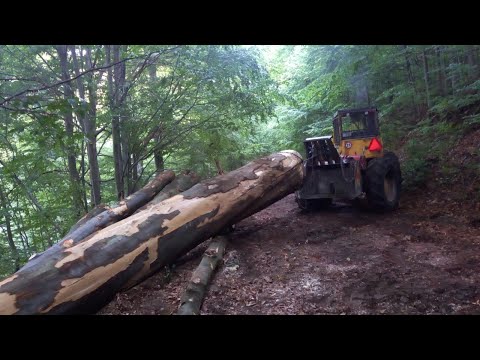 LKT 81 Turbo a Stihl ms 462 . Ťažba veľkých bukov do kopca . Keď sa vzpiera ale predsa ide 🙂