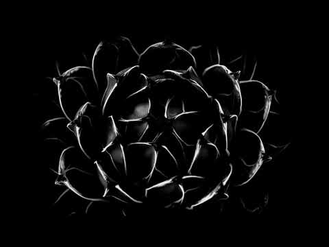 Triptil - Din Reflex (Original Mix)