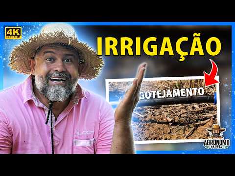 IRRIGAÇÃO por GOTEJAMENTO funciona?