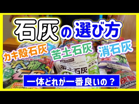 いつ、どのように庭に石灰を加えるのですか？どの植物が最も恩恵を受けるでしょうか?またその理由は何ですか?  庭園
