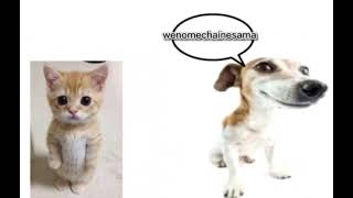 Cover art for TURI IP IP IP vs wenamechainasuma