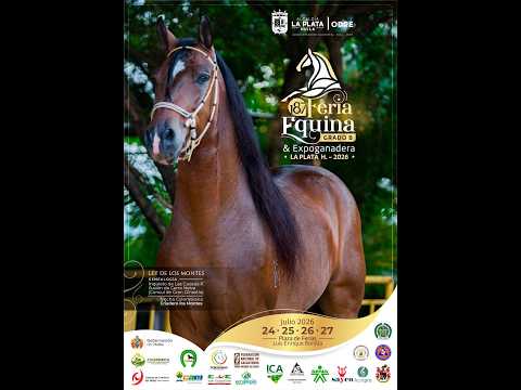 187 FERIA EQUINA GRADO B - LA PLATA HUILA -  DIA 1- PASO FINO COLOMBIANO / TROTE Y GALOPE