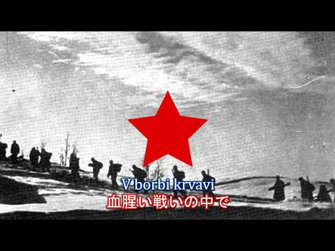 V borbi krvavi / 血腥い戦いの中で