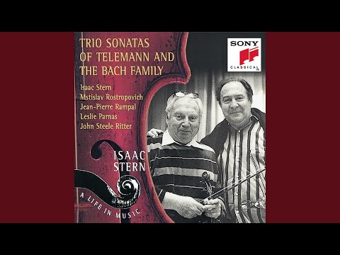 Quartet in E Minor, TWV 43:E2: II. Allegro