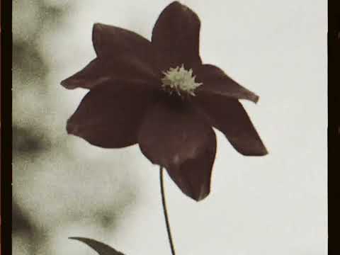 Leidy M - 'Your Name On The Beat' Teaser ( Video Audiovisual )