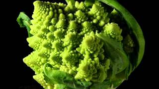 Astrud Gilberto - cricket song for Anamaria