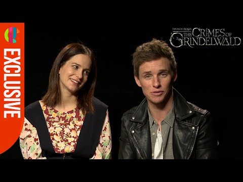 Amazing Fantastic Beasts 2 Actors Q&A