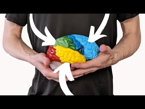 What happens when you become an expert