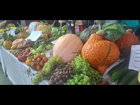 3° BLOQUE, CAPÍTULO 1253, EL SENTIR PATAGÓNICO HD. CANAL RURAL BUENOS AIRES...
