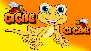Download lagu Medley Lagu Anak ♪ Cicak Cicak Di Dinding, Balonku Ada Lima, Pok Ame Ame Cilukba  Lagu Anak Lainnya mp3