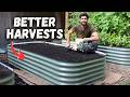 Grow More How To Setup The PERFECT Raised Bed