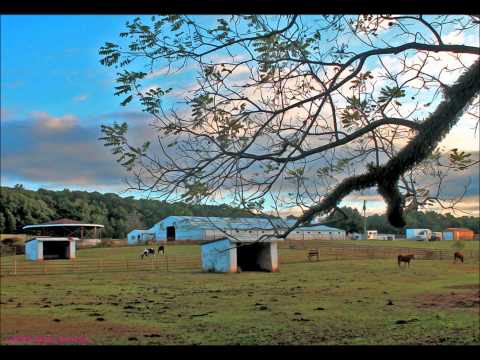 Nanci Griffith - "Trouble in the Fields"