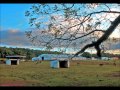 Nanci Griffith - "Trouble in the Fields"