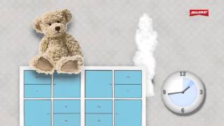 MELLERUD's 5 specialists against mould