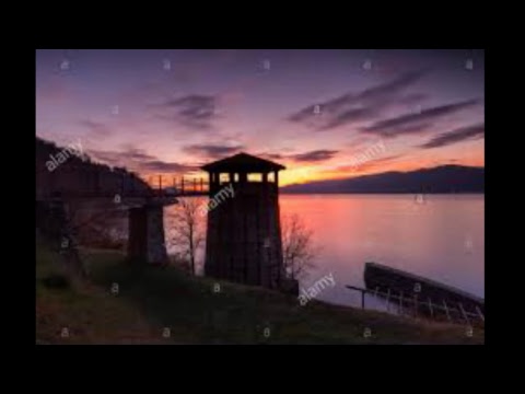 In consolle...   DJ THE VIPER