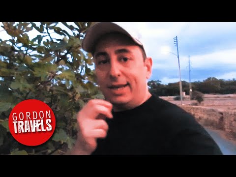 🍊 Fruit picking in my town Santa Lucia, Malta 🇲🇹