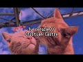 Múlan Tu Corazón Letra