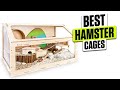 3 BEST Hamster Cages Stop Using Unsafe Cramped Cages