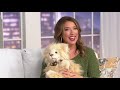 Charlie Bears Collectible Bear Saffy Secret Collection On QVC