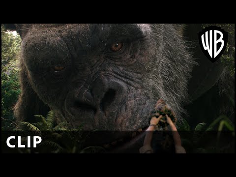 Kong and Jia Clip