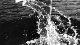 True Blue -- Dirty Beaches