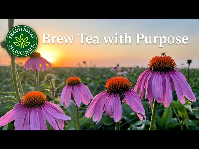 شاي أوراق وجذور الهندباء العضوية لصحة الكلى وإزالة...