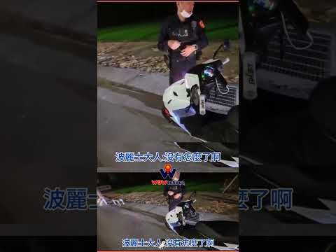 你說什麼就是什麼🖐🏻