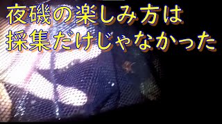 夜磯での楽しみ方はガサガサだけじゃない！　幻想的な写真がこんな身近で撮れるんだ！？