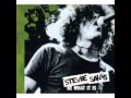 Stevie Salas - 12 - To Begin Again