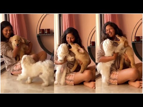 Actress Anjali  Playing With Dogs  | TFPC