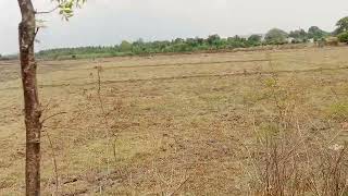 🙏 1Acre 20 Gunte agriculture farm land for sale price  acre 34 lakh 🙏