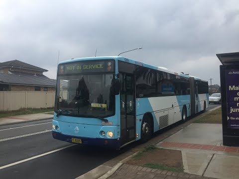CDC Hillsbus: Volvo B10MA Bendy / Custom Coaches CB50, m/o 8269