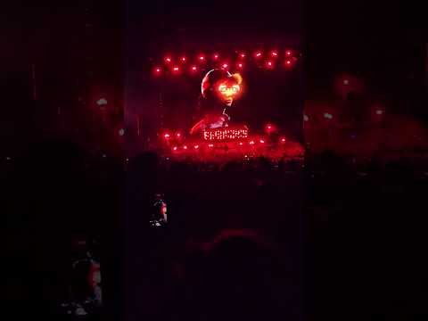 REZZ on The Rocks (Trippy Goggles)