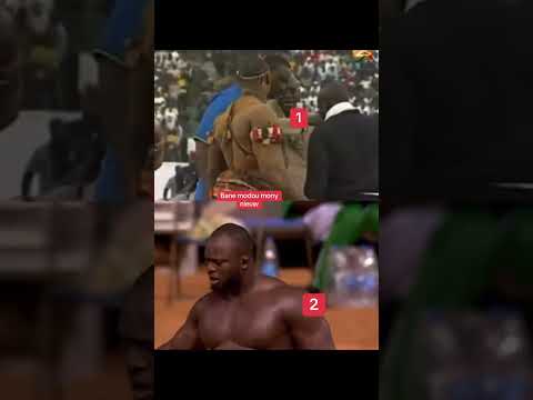Bane Modou Lô moy niew le 5 avril …..#lamb #seneweb #senegal #viral #luttesénégalaise