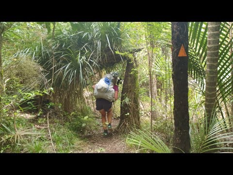 Te Araroa New Zealand 2019/2020 - Day 23: Hakarimata Scenic Reserve, Waikato River, Hemilton /km 758