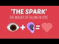 What is love? Is it just biology? 