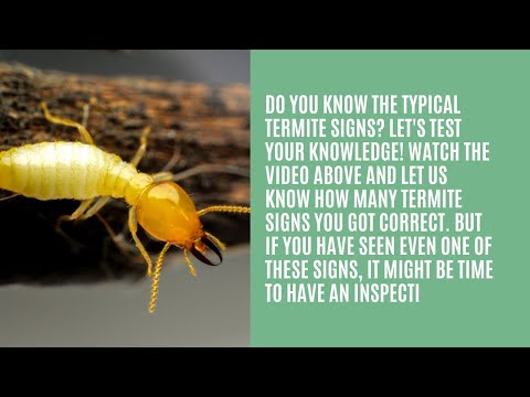 Pre-Construction Anti-Termite Treatment Services