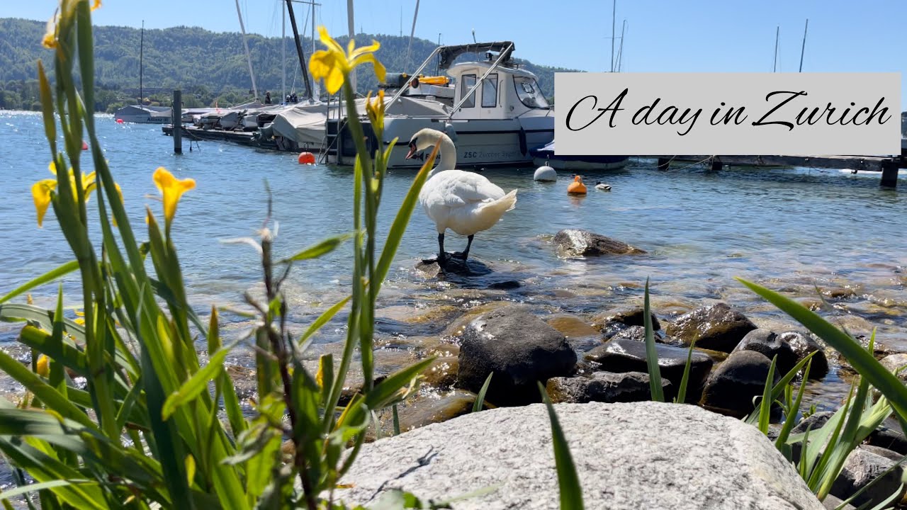 Join a family as they explore the captivating Chinese Garden Zurich.