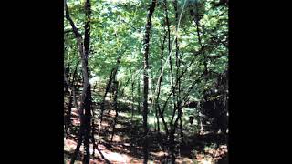 Jandek - I Stalked the World
