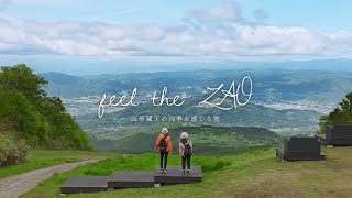 動画1