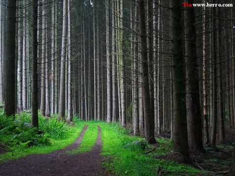 Pako ft. B.T Security(Pepi) - Presuden Cekor!!!(Prod. by Mimi)