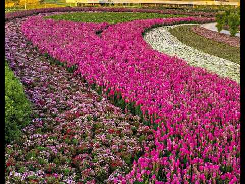 mátria parque das flores: são Francisco de Paula rio grande do sul
