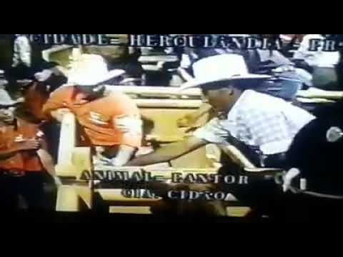 Vilson Martins de Araújo fernandopolis 2000.❤