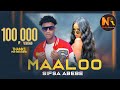 Sifsa Abebe Maaloo ሰፊሳ አበበ ማሎ New Ethiopian Music 2024 Official Video