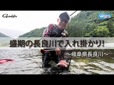 【FishingLover東海】夏の瀬を攻める 鮎の友釣り