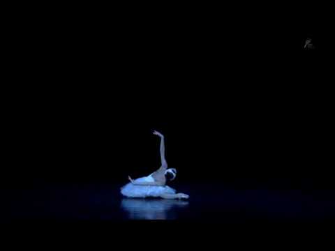 Ulyana Lopatkina: The Dying Swan